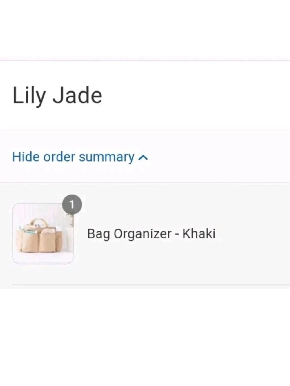 Lily Jade Bag Organizer Insert Khaki